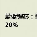 蔚蓝锂芯：预计上半年净利同比增长248%-320%