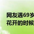 网友遇69岁周润发在北京公园跑步，每年荷花开的时候都会来