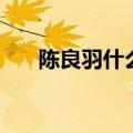 陈良羽什么时候在金华任职（陈良羽）