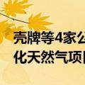 壳牌等4家公司参投阿布扎比国家石油公司液化天然气项目