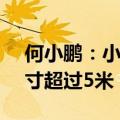 何小鹏：小鹏汽车全新产品命名为P7+，尺寸超过5米