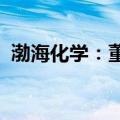 渤海化学：董事长及管理层拟增持公司股份