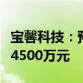 宝馨科技：预计上半年净利润亏损7500万至14500万元