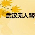 武汉无人驾驶网约车用户：车费非常便宜