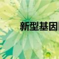 新型基因回路有望改变癌细胞耐药性