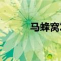 马蜂窝发布年轻旅行者观察报告