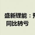 盛新锂能：预计上半年净亏损1.3亿至1.9亿元 同比转亏