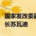 国家发改委副主任赵辰昕会见阿联酋投资部部长苏瓦迪