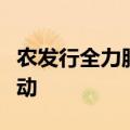 农发行全力服务新一轮千亿斤粮食产能提升行动