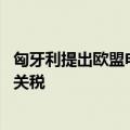匈牙利提出欧盟电动汽车发展提案 反对向中国电动汽车加征关税