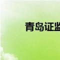 青岛证监局赴市南区开展走访工作