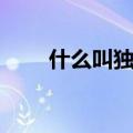 什么叫独立团（独立团是什么编制）