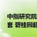 中指研究院：上半年8家房企交付套数超5万套 碧桂园超15万套