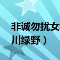 非诚勿扰女嘉宾于川绿野（非诚勿扰11号于川绿野）