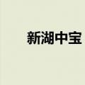 新湖中宝：获95亿元意向性授信额度
