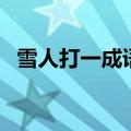 雪人打一成语是什么成语（雪人打一成语）