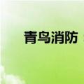 青鸟消防：拟以1亿元-2亿元回购股份