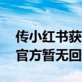 传小红书获风险投资公司DST Global支持，官方暂无回应