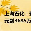 上海石化：预计2024年上半年净利润2457万元到3685万元