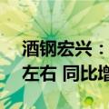 酒钢宏兴：公司预计上半年净亏损9.72亿元左右 同比增亏