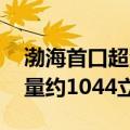 渤海首口超深井获得高产油气流 日产油气当量约1044立方米