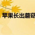 苹果长出蘑菇&#32;女子赠送用于研究