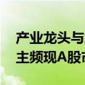 产业龙头与地方国资发力 “链主驱动型”易主频现A股市场