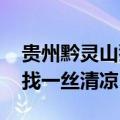 贵州黔灵山猴子变“跳水队”：夏日炎炎 寻找一丝清凉