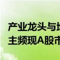 产业龙头与地方国资发力，“链主驱动型”易主频现A股市场