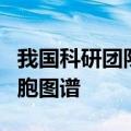 我国科研团队首次构建泛癌种脉管系统全息细胞图谱