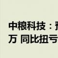 中粮科技：预计上半年净利润5300万至6800万 同比扭亏为盈