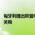 匈牙利提出欧盟电动汽车发展提案 反对向中国电动汽车加征关税