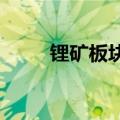 锂矿板块持续拉升，盛新锂能涨停