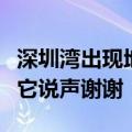 深圳湾出现地球唯一蓝血生物：每个人都应对它说声谢谢