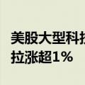 美股大型科技股盘前多数上涨，英伟达、特斯拉涨超1%