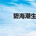 碧海潮生玛瑙的作用（玛瑙的作用）