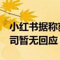 小红书据称获风投公司DST Global投资，公司暂无回应