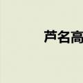 芦名高速公路最新消息（芦名）