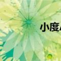 小度AI酒店英文版正式上线