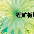 锂矿板块异动拉升 盛新锂能涨停