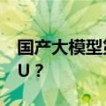 国产大模型第一梯队玩家，为什么pick了CPU？