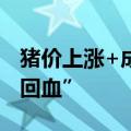 猪价上涨+成本下降，多家猪企二季度大幅“回血”
