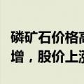 磷矿石价格高位盘踞：多家磷化工企业中报预增，股价上涨
