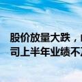 股价放量大跌，山东黄金回应：确有部分机构投资者反馈公司上半年业绩不及预期