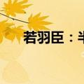 若羽臣：半年度净利润预增34%-74%