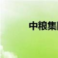 中粮集团副总经理党组成员调整