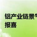 铝产业链景气度持续，上市铝企上半年业绩频报喜