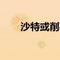 沙特或削减新未来城等大型项目支出