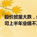 股价放量大跌，山东黄金回应：确有部分机构投资者反馈公司上半年业绩不及预期