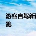 游客自驾新疆&#32;邀当地骑马男孩赛跑